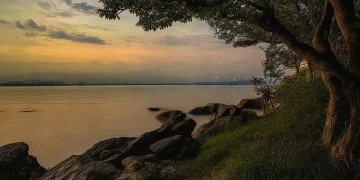 南山鱼村晚究竟是什么歌？