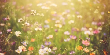 好兆头是哪首歌的歌词呢？