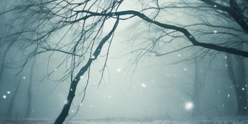 难过的人有故事吗究竟出自哪首歌？