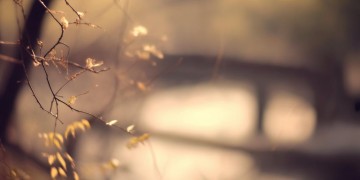 有你的存在好累究竟是哪首歌？