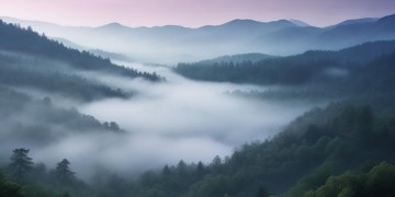 总是千山万水究竟是哪首歌？