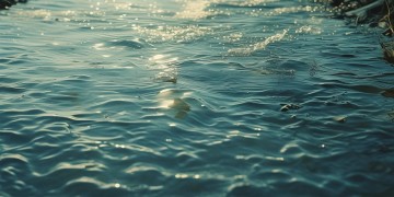 时间从不为我等待究竟是哪首歌？