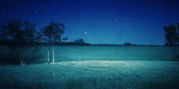 一个人的夜我的心应该放在哪里究竟是哪首歌？