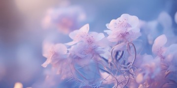 14岁离开德云社究竟是哪首歌？