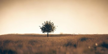 惋叹痴痴狂狂爱过究竟是哪首歌？