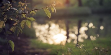 再见了小伙伴是哪首歌？