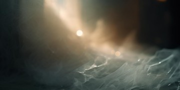 你的谎言骗我多久出自哪首歌？