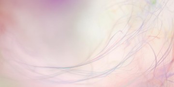 我的心能平静吗究竟出自哪首歌？