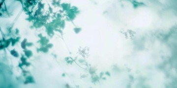 苏白爱笑容的到底是哪首歌？