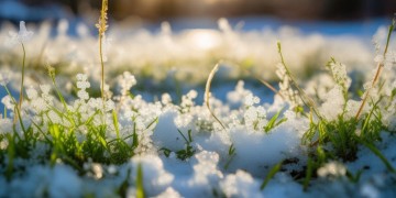 寒融雪化出自什么歌？