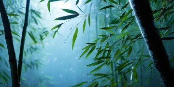 哪首粤语歌令人陶醉如斯？