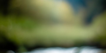 也难怪我有点累出自哪首歌？