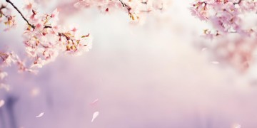 与我再无关系究竟是什么歌？