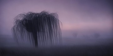 伤心不听粤语歌到底叫什么？