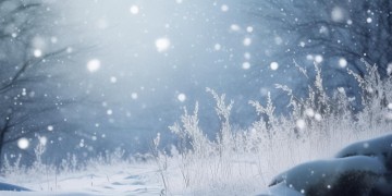 风雪音究竟对离歌做了什么？