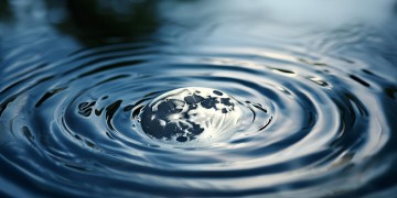 风若起水中月究竟出自哪首歌？