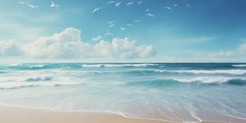 站在沙滩上看海鸥到底是哪首歌？