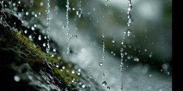 脸上的水出自哪首歌？
