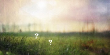 我的战友你还好吗出自哪首歌？