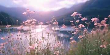 我们战斗吧不加糖究竟是什么歌？