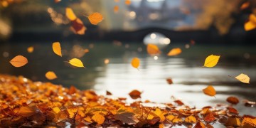 我们已经都老了出自哪首歌？