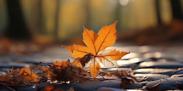 人生很苦离别更苦究竟是哪首歌？