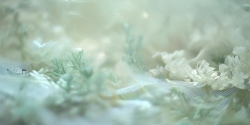 就一直平淡着究竟是哪首歌？