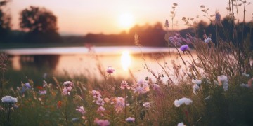 夏至未至我可以站在你身后究竟是哪首歌？