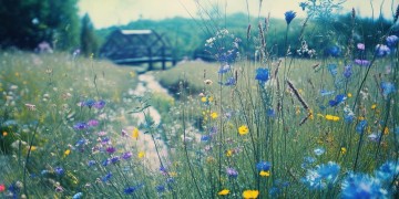 十几年没见的你出自哪首歌？