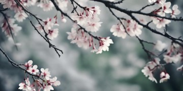 我辈何叹情折腰究竟出自哪首歌？