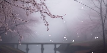 说不清的伤感究竟是哪首歌？