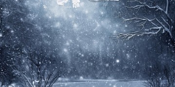 雪花盛开究竟出自哪首歌？