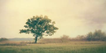 享受孤独的境界究竟是哪首歌？