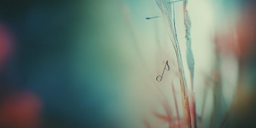 你曾被别人否定出自哪首歌？