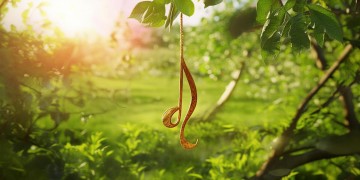 树上挂满了苹果的歌究竟是什么？