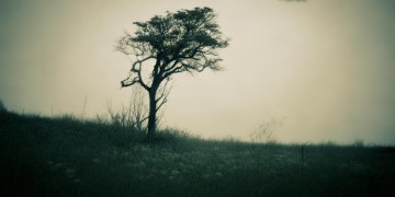 痛苦的日子无人陪出自哪首歌？