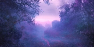 我们不属于这里出自哪首歌？