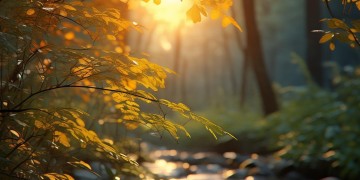 什么歌能缓解大脑疲劳困倦？