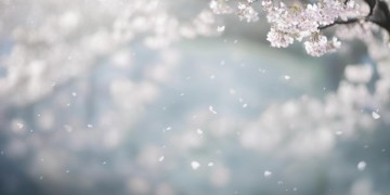 不要对任何人太好是哪首歌？