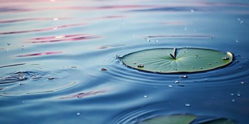 什么歌能让心情不再浮躁？