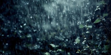 想要大雨落下是哪首歌？