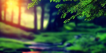 有哪些歌曲能助力快速写作业？
