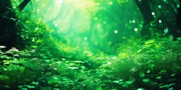 幻世九歌绿色服到底是什么意思？