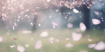 但她爱着他这句歌词出自哪首歌？