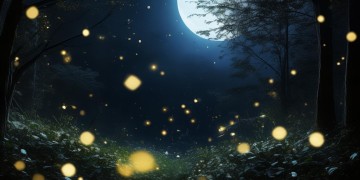 黑暗中发现你的美究竟是哪首歌？