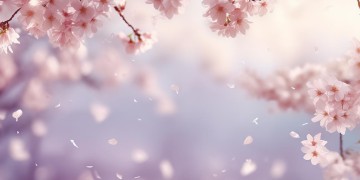 那无归期怕无归期究竟是哪首歌？