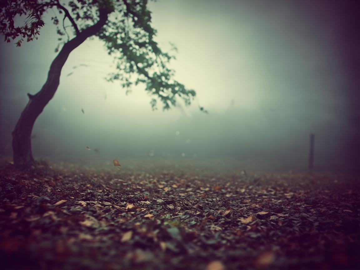 周润发最伤感的歌究竟是什么？