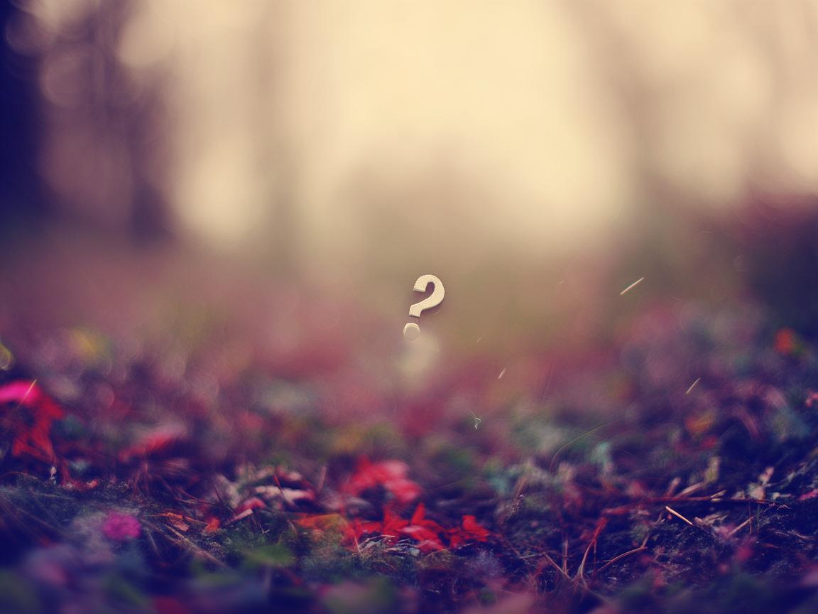 你下辈子怎么办出自哪首歌？