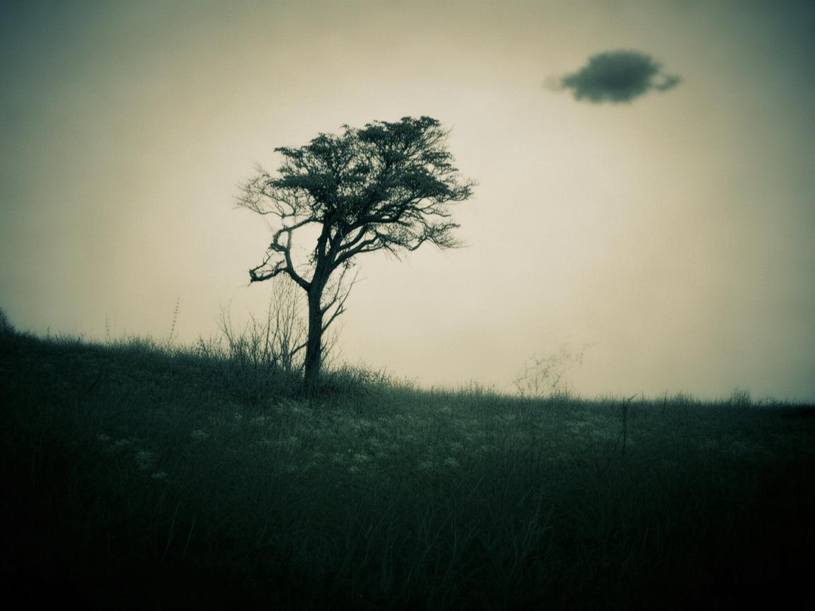 痛苦的日子无人陪出自哪首歌？